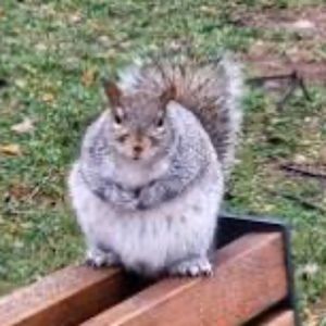 Meet your Posher, Kana